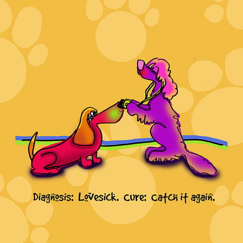 "Diagnosis: Lovesick. Cure: Catch it again." WHIMSHOTS CANVAS