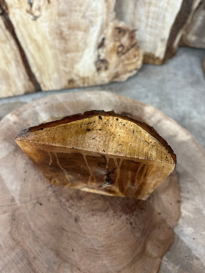 Elm Blank | Elm | Hamilton Lee Supply