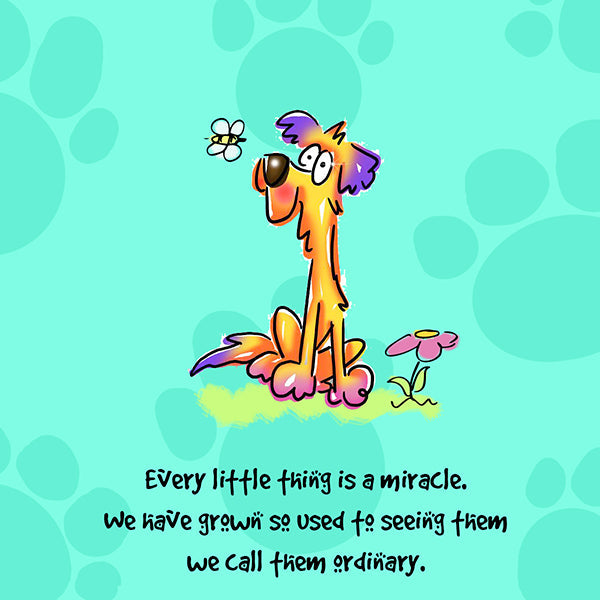 "Every little thing is a miracle. We have grown so used to seeing them we call them ordinary" WHIMSHOTS CANVAS