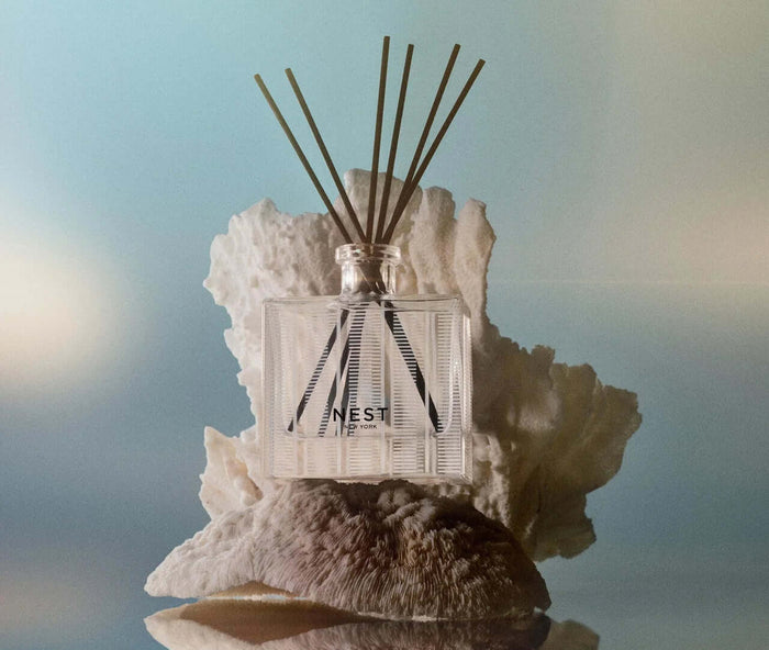Nest Fragrances Reed Diffuser - Ocean & Sea Salt