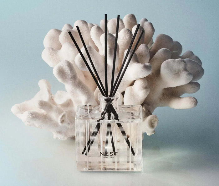 Nest Fragrances Reed Diffuser - Ocean & Sea Salt